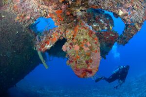 scuba diver viewing the rudder of the Wreck of the Jado Trader