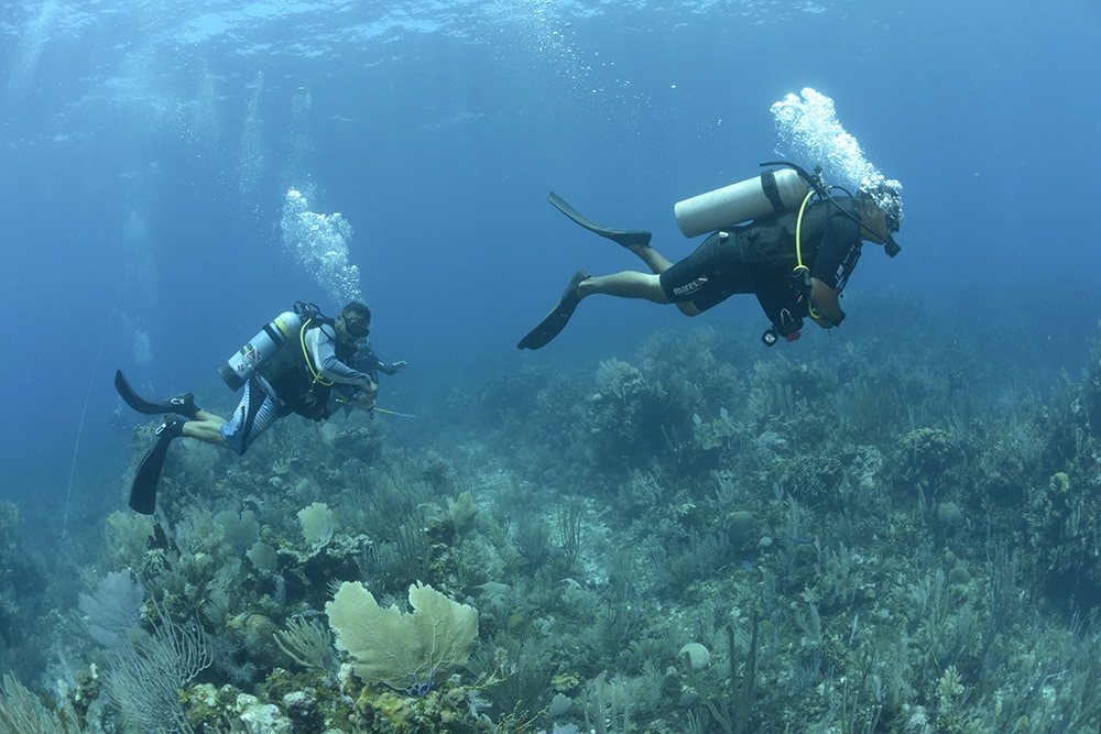 Guanaja Scuba Diving Dunbar Rock