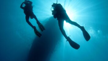 two divers ascending