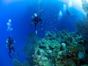 Lionfish Hunting