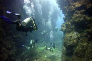 divers in pass through